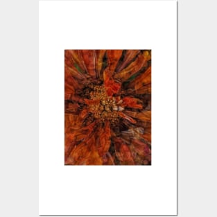 zinnia flower bloom in orange and gold coloured Posters and Art